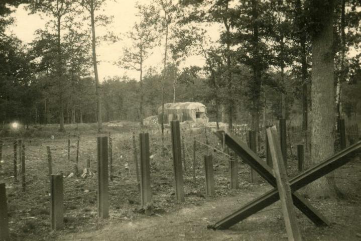 K640_img309